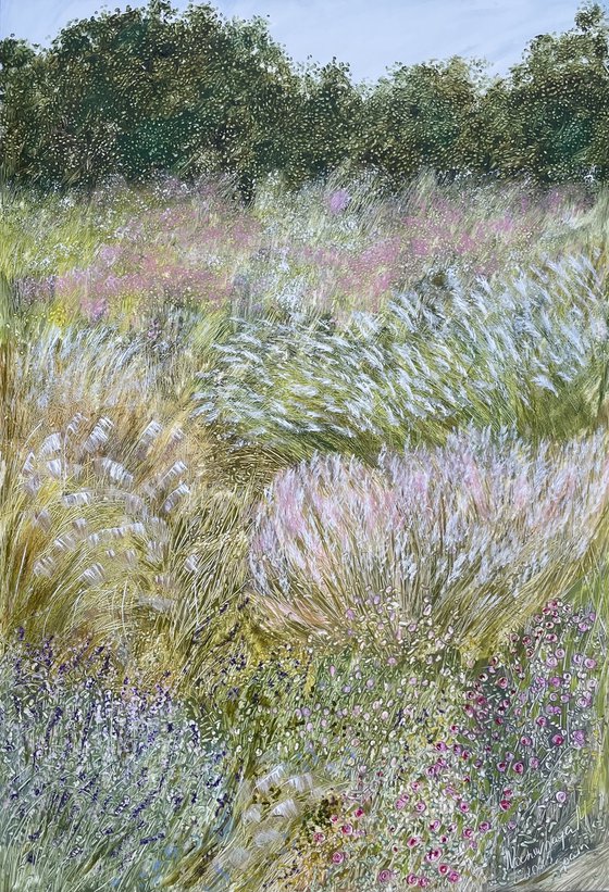 Ornamental grasses in the garden