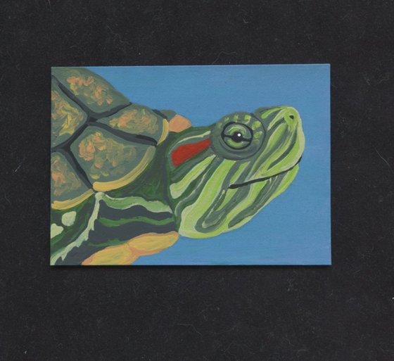 ACEO ATC Original Miniature Painting Red Ear Slider Turtle  Pet Wildlife Art-Carla Smale