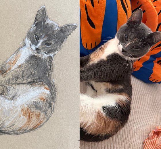 Commissions Pet Portrait — Mila