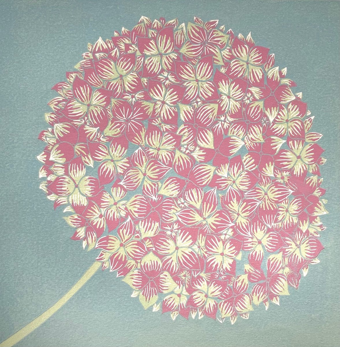 Illustrative Botanical Linocut By Nathalie Pymm Art, 12 X 12", Hydrangea, Original Artwork