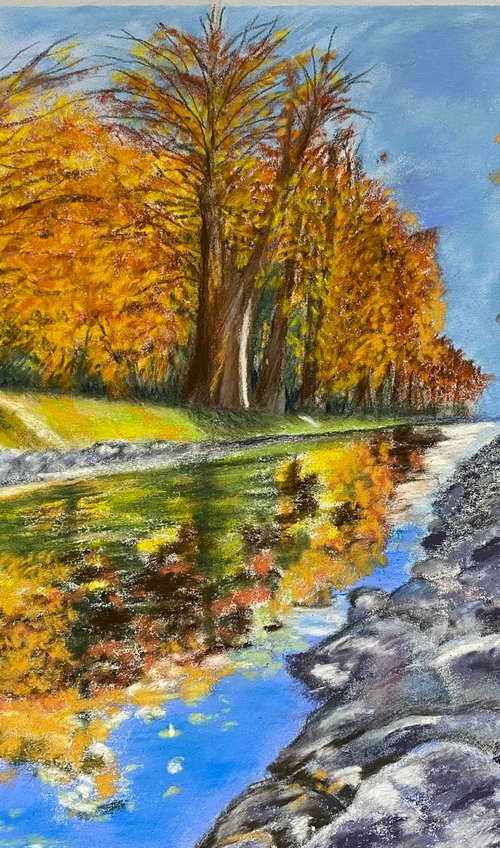 Autumn reflections by Maxine Taylor