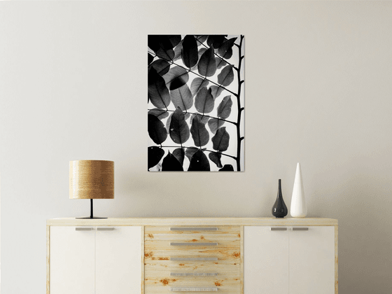 Branches and Leaves III | Limited Edition Fine Art Print 1 of 10 | 50 x 75 cm
