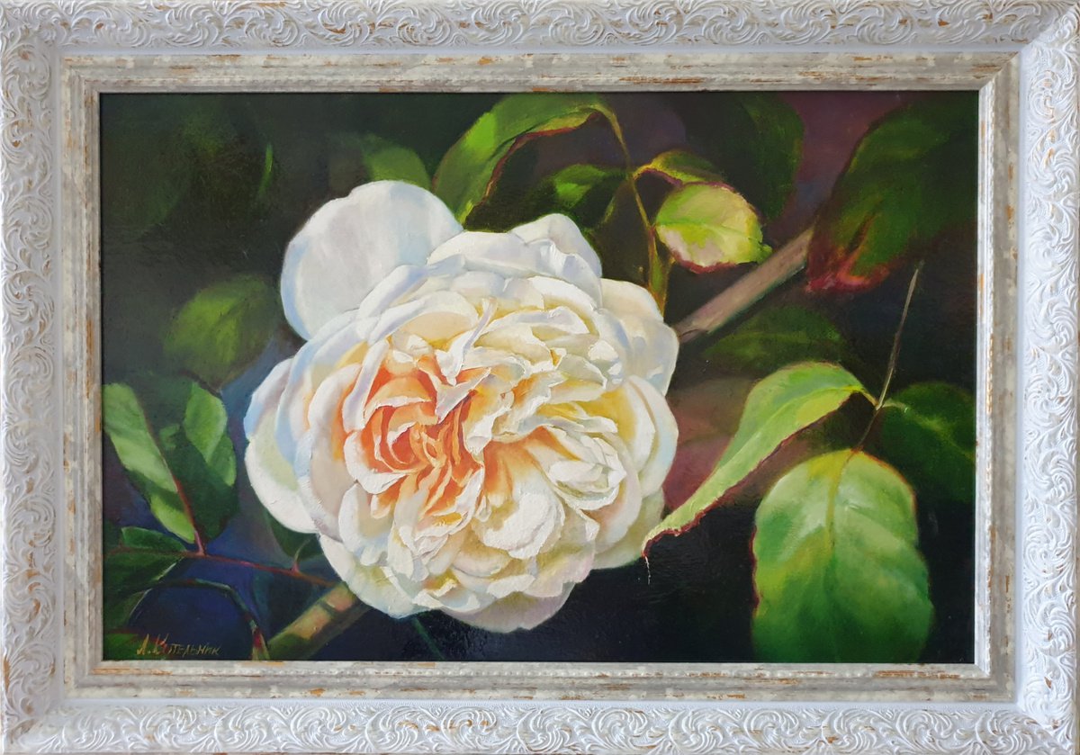 Lanfren-Lanfra. rose flower liGHt original painting GIFT (2019) by Anna Kotelnik