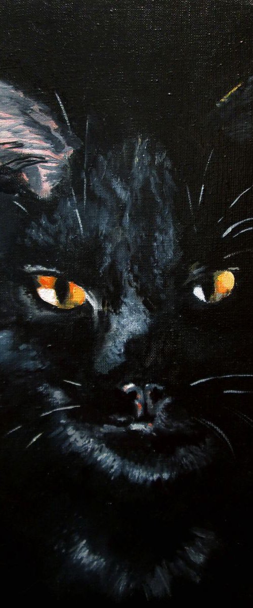 Mouse Hunter by Oleh Rak