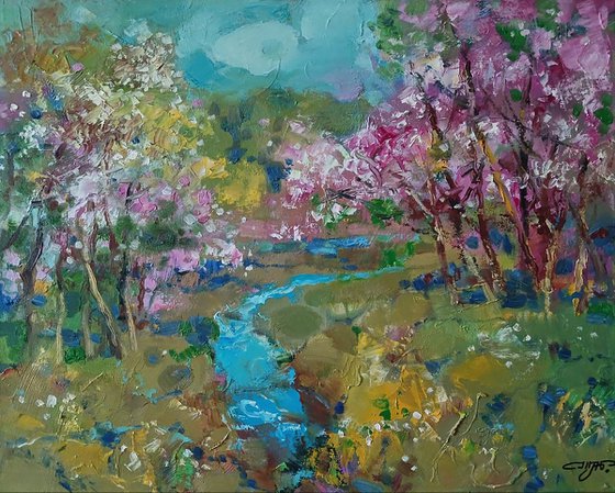 Spring Stream in the Forest