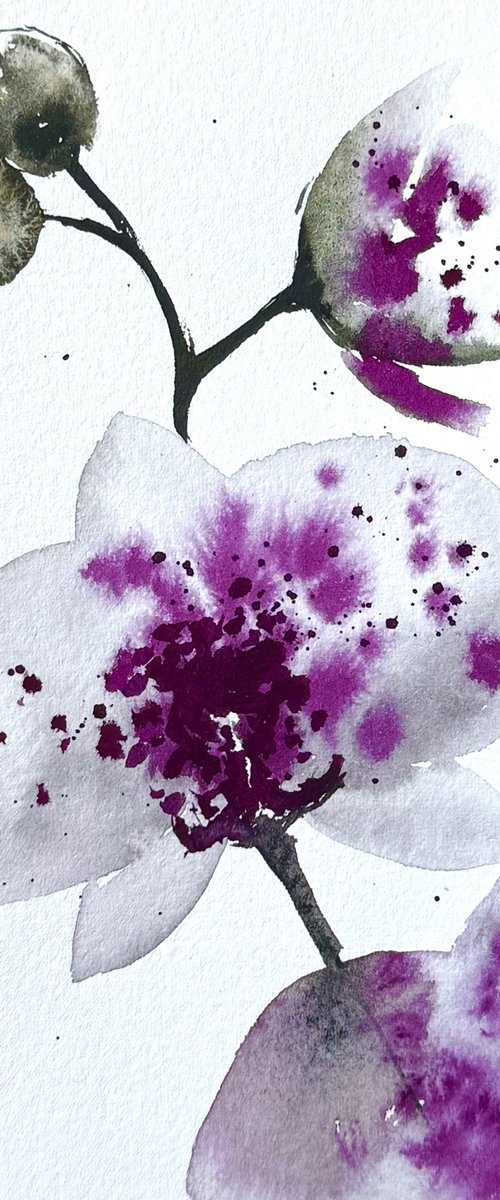 Wild White Purple Orchid by Yuliia Sharapova