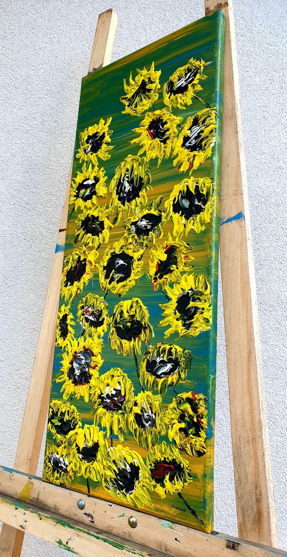 Blooming sunflowers 1