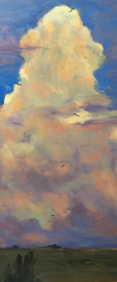 Big sky by Yuanyuan Liu