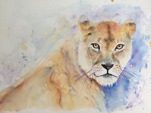 Lion by Sabrina’s Art