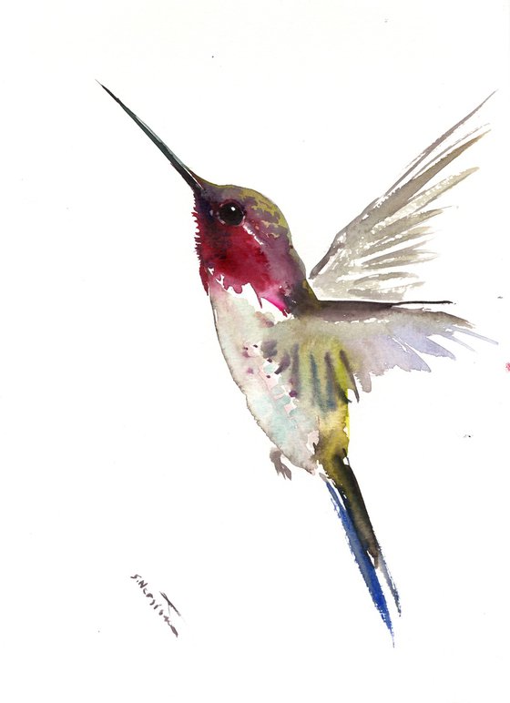 Hummingbird