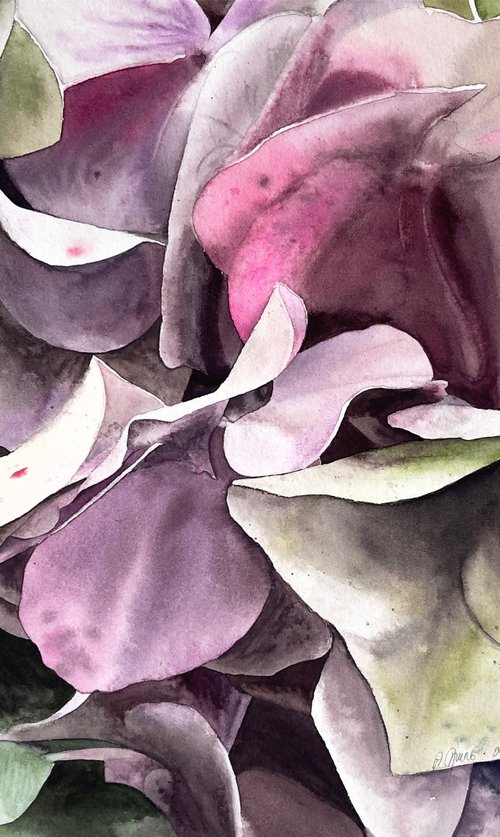 Hydrangea Bouquet From Keukenhof by Alona Hryn