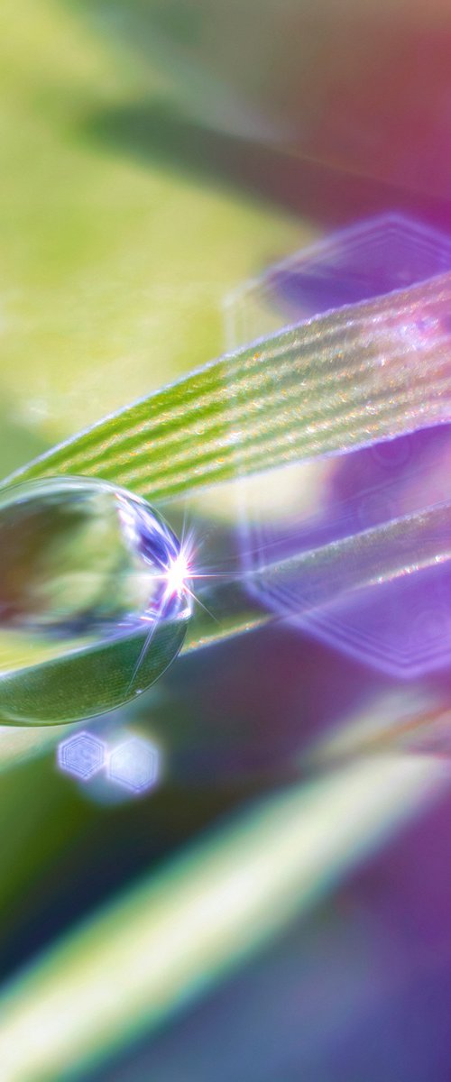 Projection - Studio Edition by Inna Etuvgi