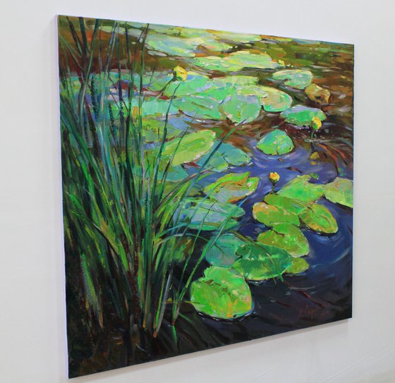 "Water lilies"