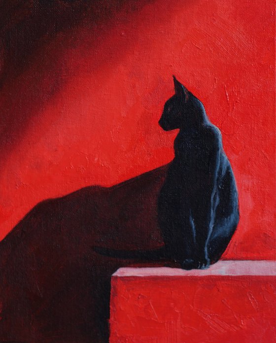Black Cat on Red