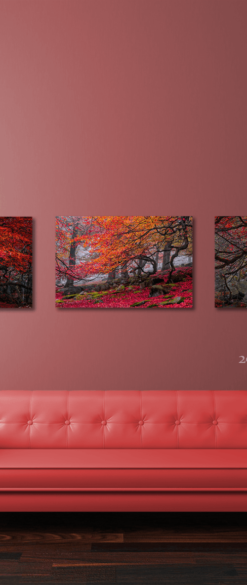 *Special Order* Deep In The Forest / Red Forest / Twisted Tree - 20x30" Canvas Prints by Ben Robson Hull