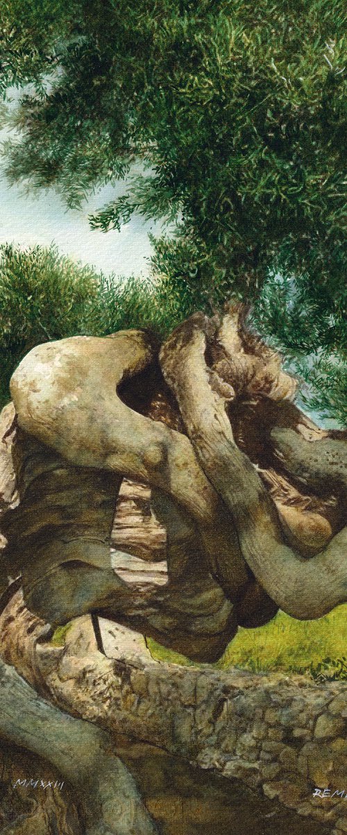 Olive Tree on Greek Island by REME Jr.