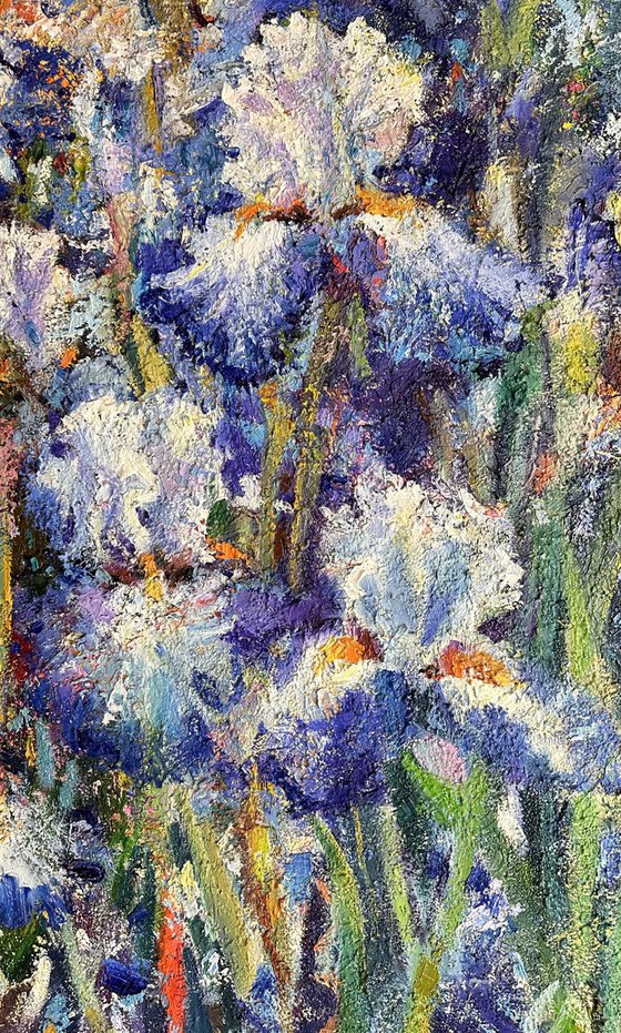 “Irises”