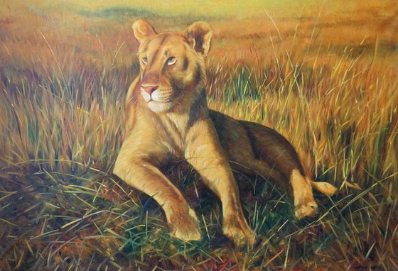 Lioness