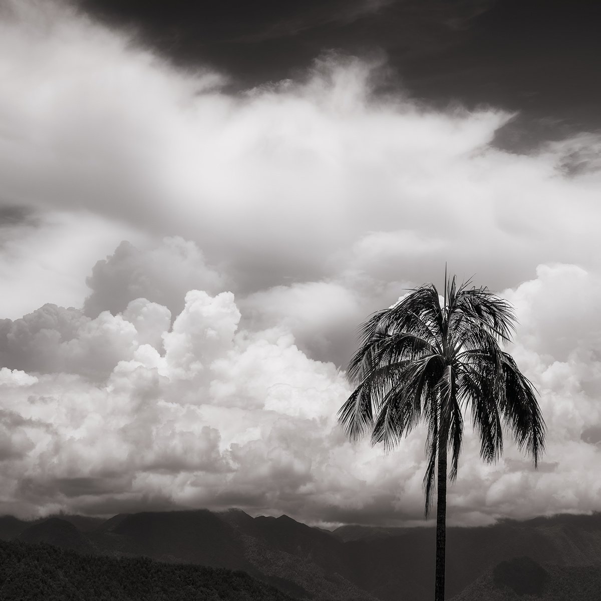 Photorealistic Landscape Photograph By Nick Psomiadis, 35 X 35", Far North, Original Artwork