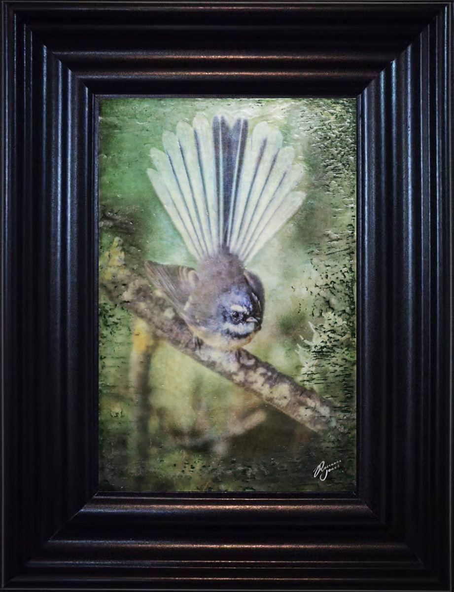 N.Z. Fantail by Roseanne Jones