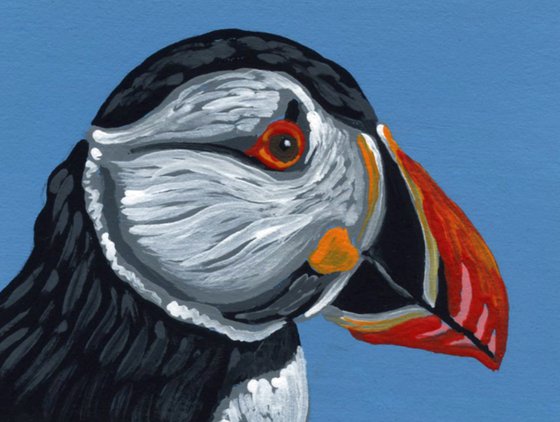 ACEO ATC Original Painting Atlantic Puffin Bird Wildlife Art-Carla Smale