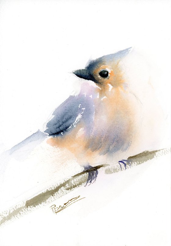 Tufted titmouse