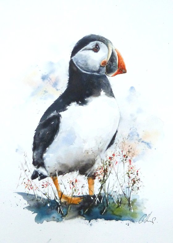 The Puffin.