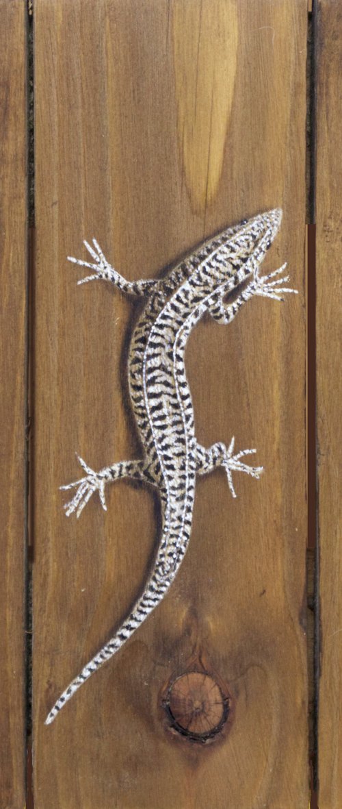 Lizard on recycled wood by Mike Skidmore