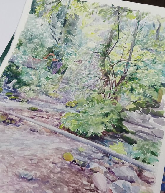 Forest watercolor painting