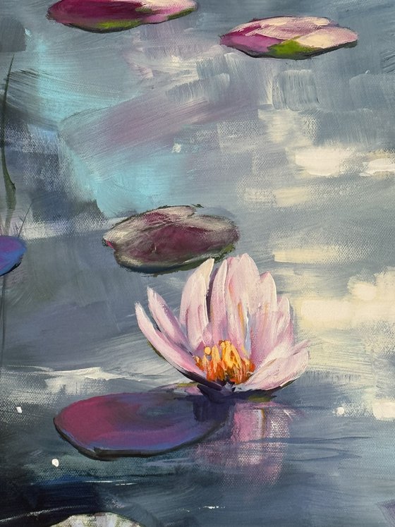 Serenity 6