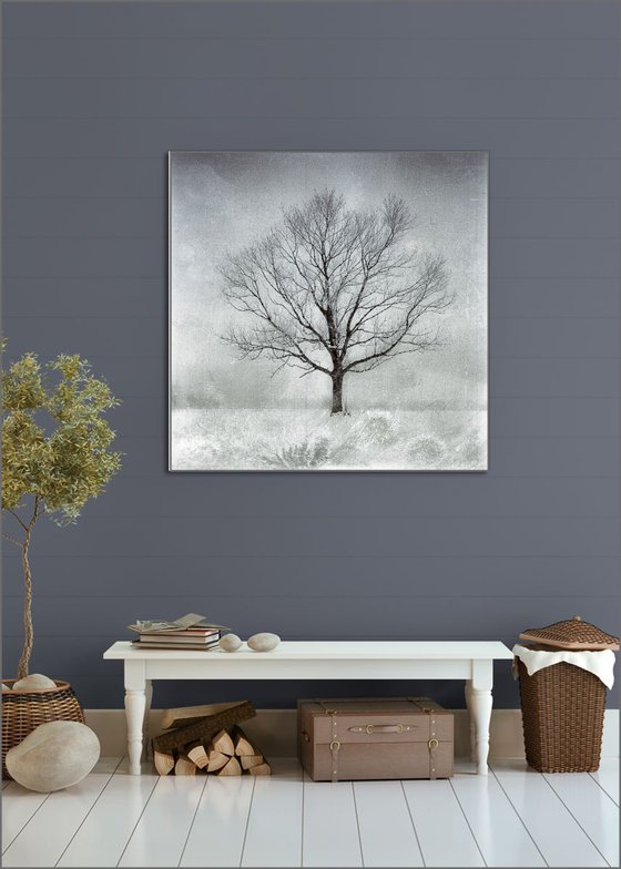 The Moon Tree  - Minimalist Grey Tree Limited Edition Giclee on Canvas 30 inches