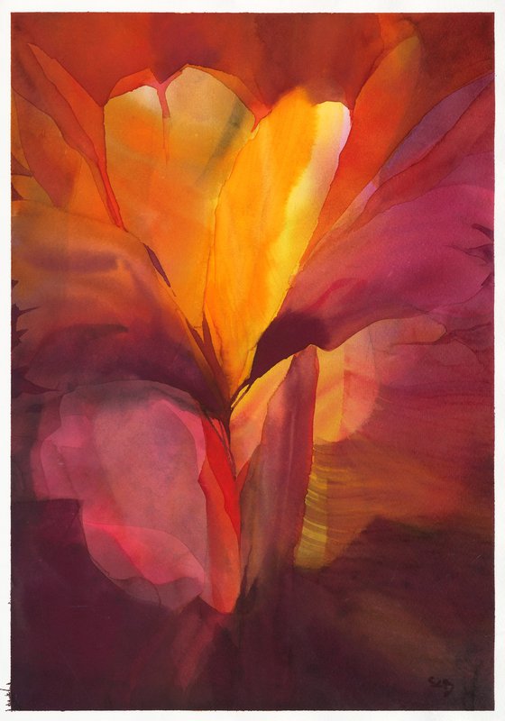 Freesia