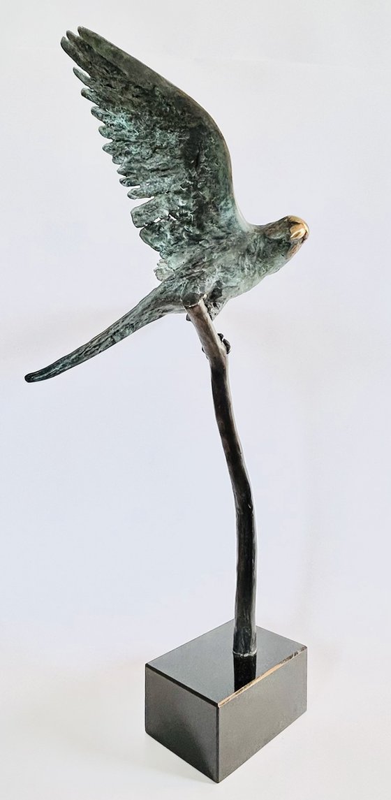 Emerald Flight Reverie, no.V/VIII