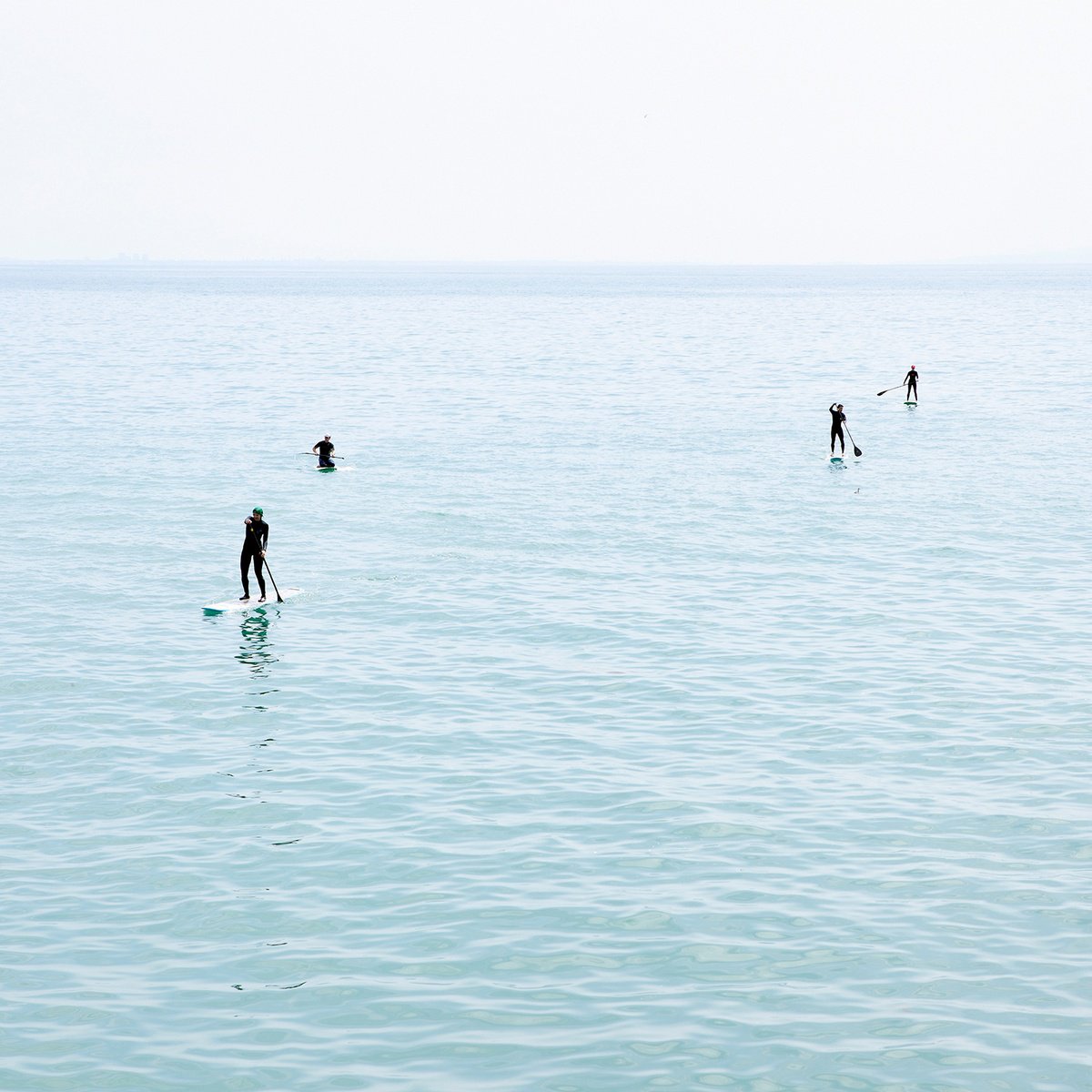 Organic Landscape Photograph By Heike Bohnstengel, 20 X 20, Malibu, Original Artwork