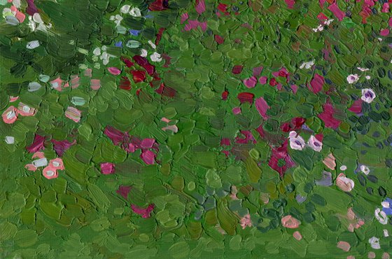 Autumn flowers