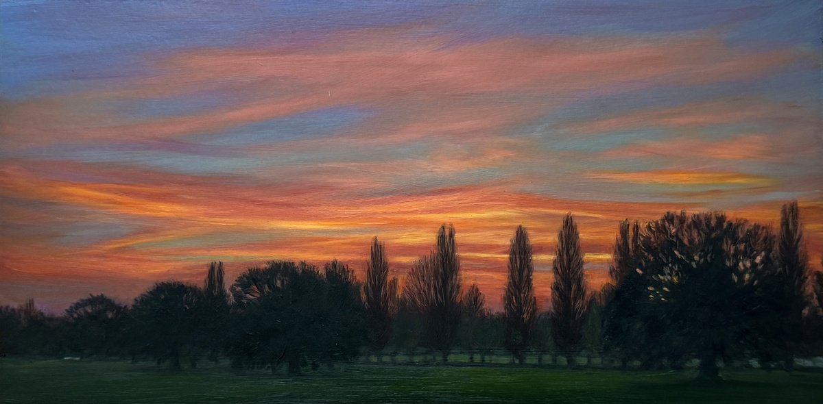 Sunset In Mh Park (Xxiv) By Diana Sandetskaya, 13 X 7, Artwork For Sale On Artfinder