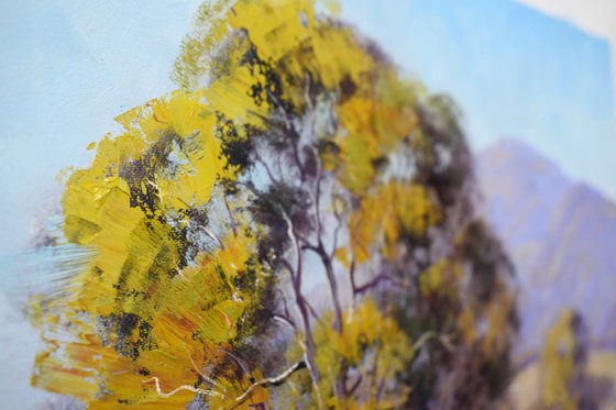 Road into the valley NSW