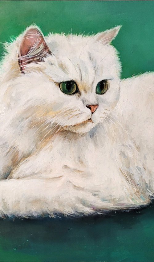 White Persian cat with green eyes by Lisa Braun
