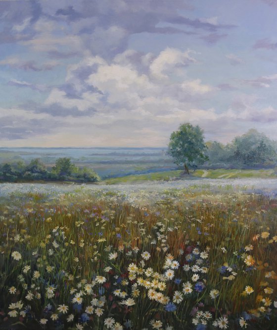 Field of flowers