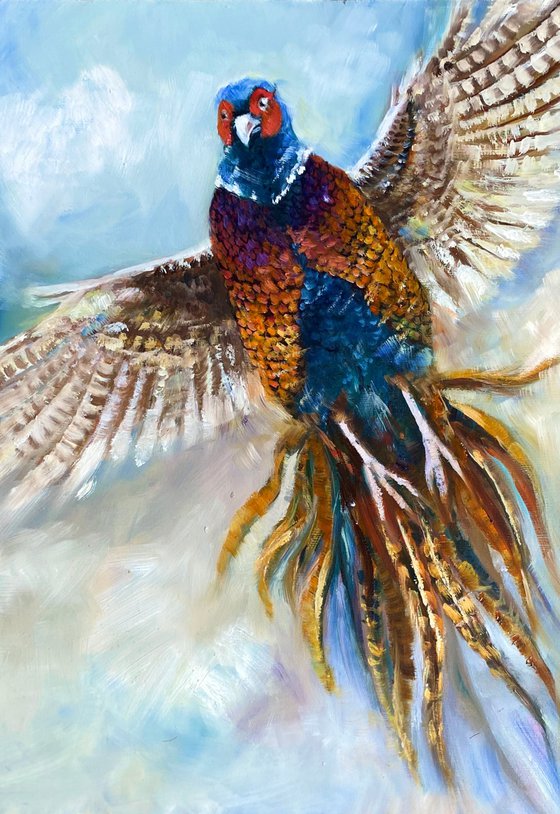 Pheasant in Flight