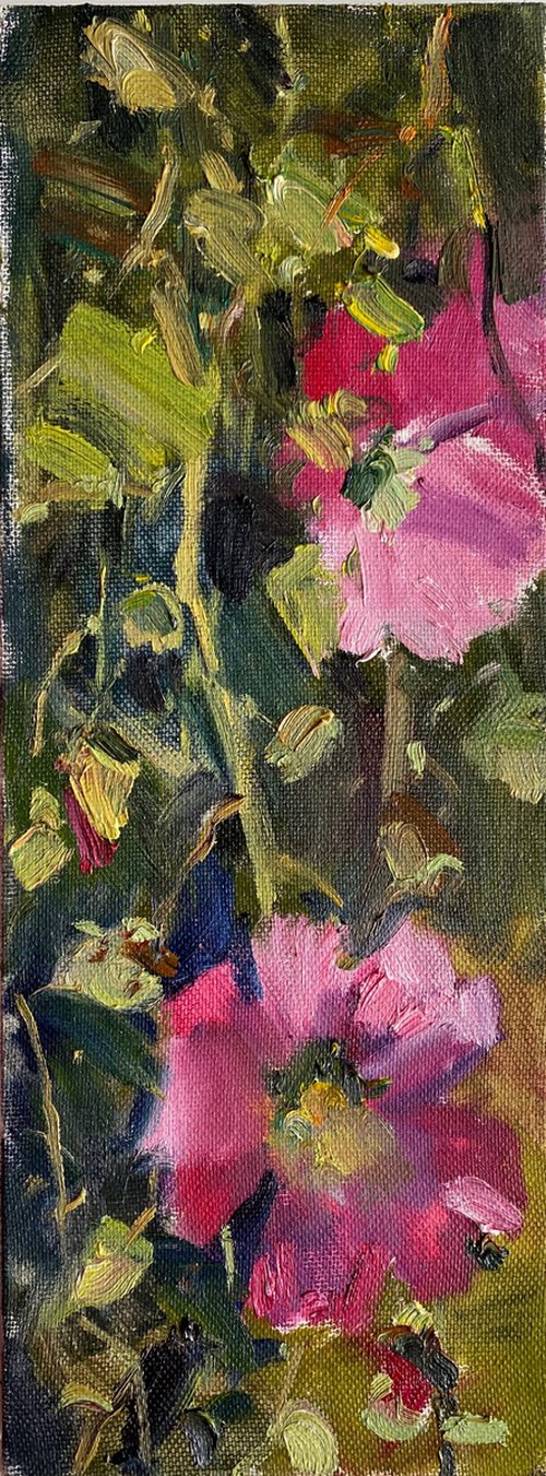 Pink mallow flowers by Nataliia Nosyk