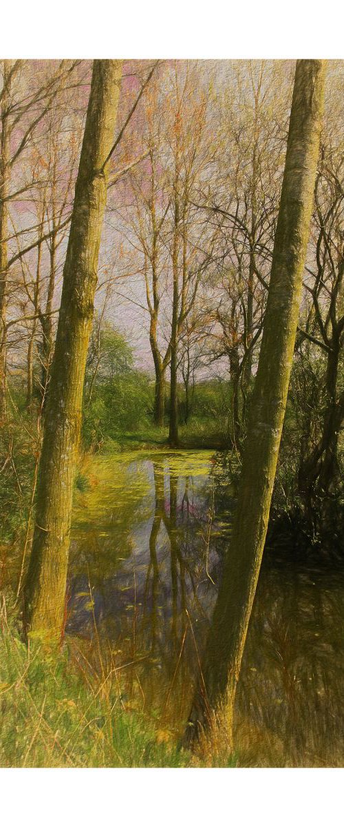 Serenity, ( River and Trees) by Martin  Fry