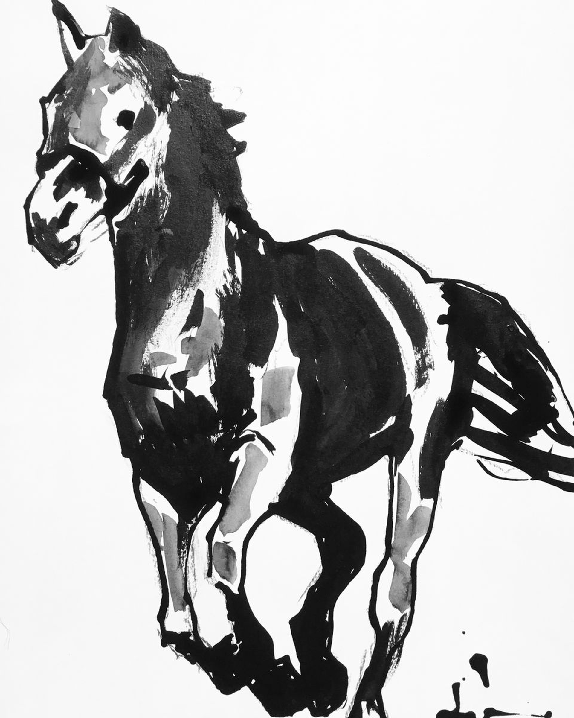 Black Horse Acrylic Painting By Dominique Deve Artfinder