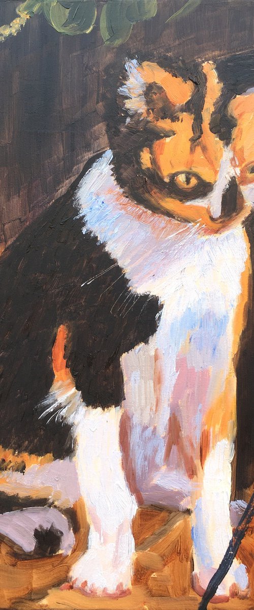 Cat by Elena Sokolova