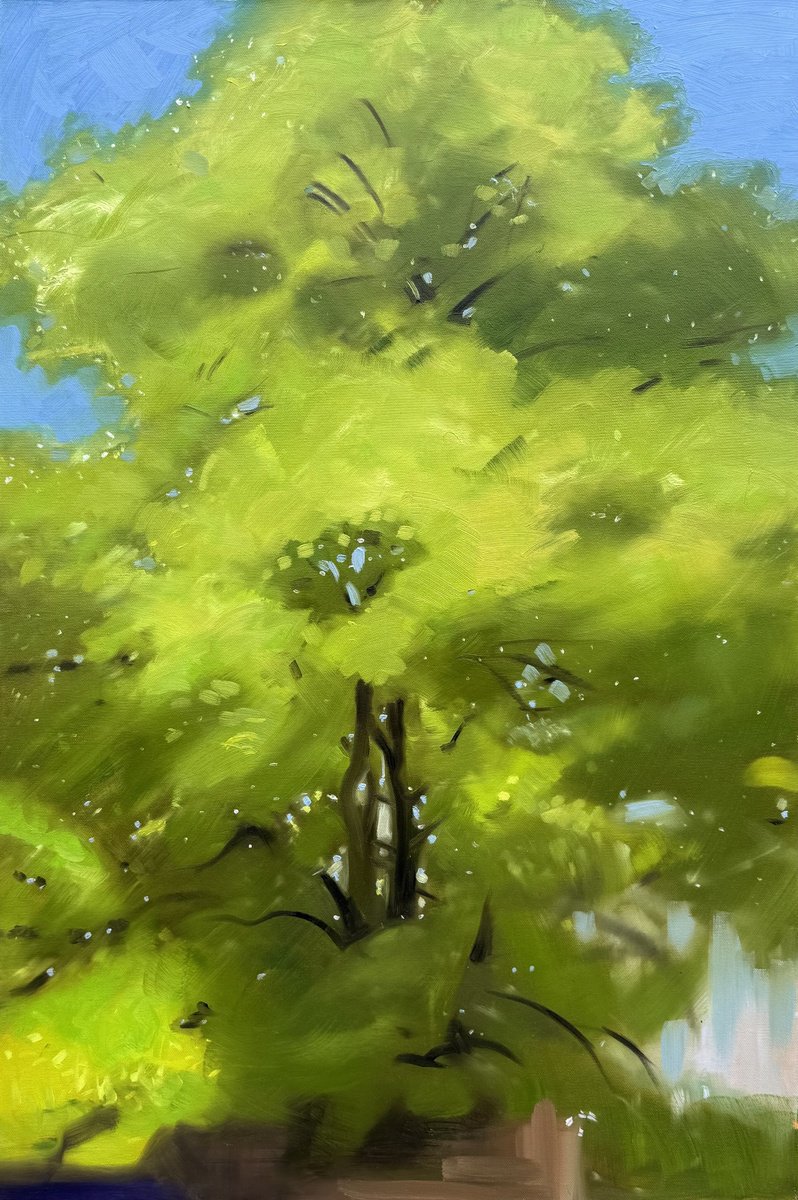 Photorealistic Oil Painting , Tivoli Tree By Jessica Bleasby, 24 X 36, Artwork For Sale On Artfinder