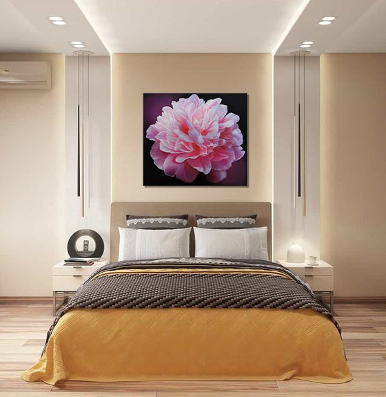Pink peony vibes