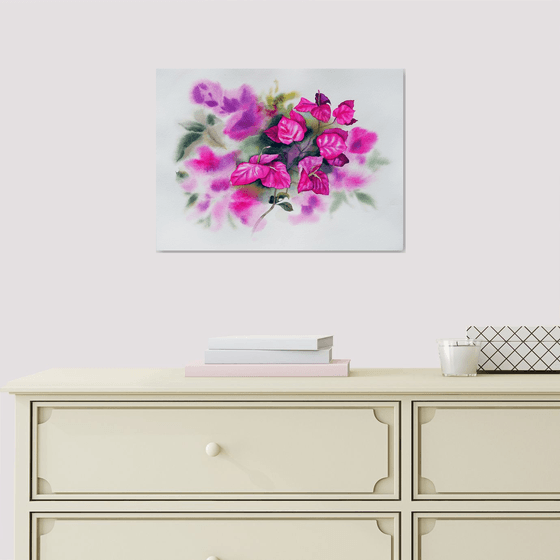 Bougainvillea flower