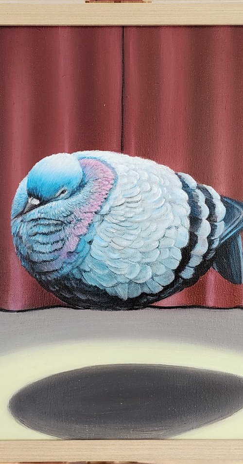 Ta-Daa! by Steve Radl