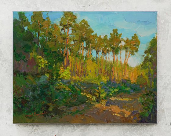 Warm evening in the forest