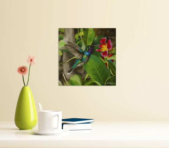 Tropical Hummingbird